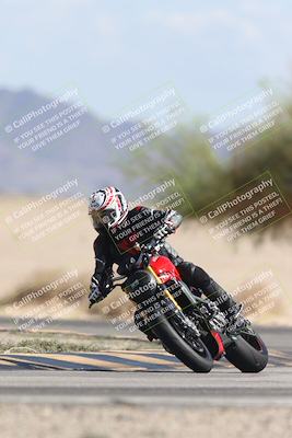 media/Oct-13-2025-Moto Forza (Mon) [[a66d839500]]/3-B Group/Session 4 Turn 4 Tree of Life/